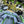 Load image into Gallery viewer, F1+ AQUA
