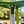 Load image into Gallery viewer, F1+ AQUA

